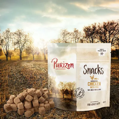 Purizon Snacks Chicken with Fish macskák számára, 100% hús, hal és máj, 40 g, fagyasztva szárított falatok láthatók a csomag mellett.