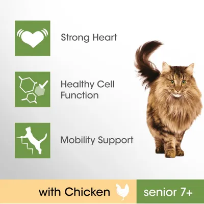 Strong Heart, Healthy Cell Function, Mobility Support, with Chicken, senior 7+; kuvassa pitkäkarvainen kissa. Teksti englanniksi.