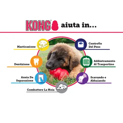 KONG aiuta in: masticazione, dentizione, ansia da separazione, combattere la noia, controllo del peso, addestramento al trasportino, scavando e abbaiando. Immagine di un cucciolo con KONG rosso.