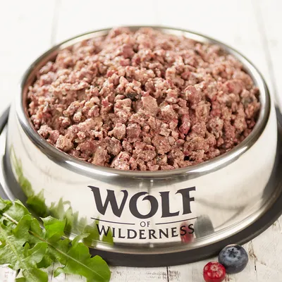 Wolf of Wilderness hrană umedă într-un bol din oțel inoxidabil, înconjurată de ingrediente proaspete precum afine și frunze de păpădie.