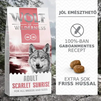 Wolf of Wilderness Adult Scarlet Sunrise kutyatáp csomagolás, feliratok: jól emészthető, 100%-ban gabonamentes recept, extra sok friss hússal Wolf of Wilderness Adult Scarlet Sunrise kutyatáp csomagolás, feliratok: jól emészthető, 100%-ban gabonamentes recept, extra sok friss hússal