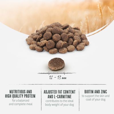 Briantos Adult Light Sterilised kalkkuna & peruna - viljaton - 12 kg