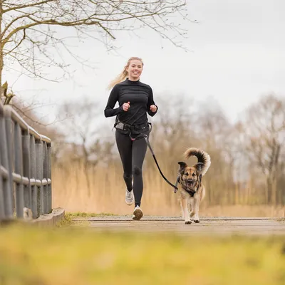Jogger med hund, kopplade med löplina och midjebälte. Lämplig för sportaktiviteter med hundar.
