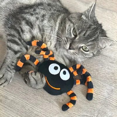 Giocattolo di peluche a forma di ragno con zampe arancioni e nere e volto sorridente, sdraiato su pavimento in legno accanto a un gatto grigio.