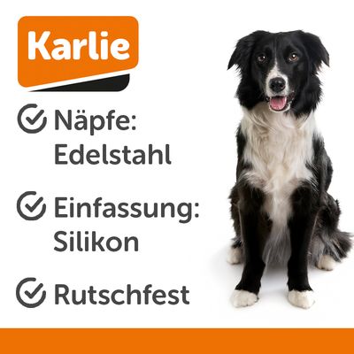 Doppelnapf-Set mit Edelstahl-Schüsseln und rutschfesten Silikonmatten in Rot, Schwarz und Weiss. Ideal für Futter und Wasser.