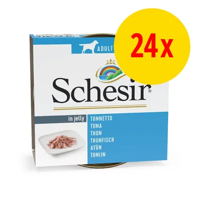 Schesir in jelly, thon pour chien adulte, lot de 24 boîtes. Texte visible : TONNETTO, TUNA, THON, THUNFISCH, ATÚN, TONIJN. Image d’un plat de thon sur l’emballage. Schesir in jelly, thon pour chien adulte, lot de 24 boîtes. Texte visible : TONNETTO, TUNA, THON, THUNFISCH, ATÚN, TONIJN. Image d’un plat de thon sur l’emballage.