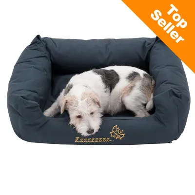 Pies leży na ciemnoszarym legowisku z napisem „Zzzzzzzz...” i grafiką księżyca. W prawym górnym rogu pomarańczowy baner z tekstem „Top Seller”. Pies leży na ciemnoszarym legowisku z napisem „Zzzzzzzz...” i grafiką księżyca. W prawym górnym rogu pomarańczowy baner z tekstem „Top Seller”.