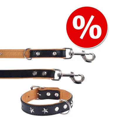 Ensemble laisse et collier pour chien en cuir noir avec rivets et étoiles métalliques, mousquetons argentés. Pastille rouge avec symbole pourcentage visible, offre promotionnelle.