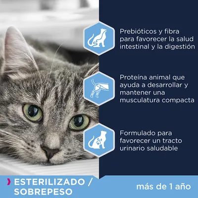 Prebióticos y fibra para la digestión, proteína animal para musculatura compacta, formulado para tracto urinario saludable. Esterilizado/sobrepeso, más de 1 año.