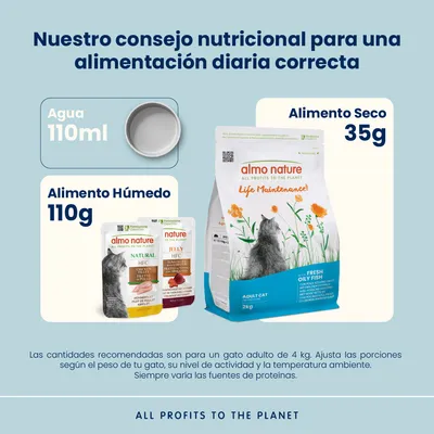 Pack nutrición mixta: pienso 2 kg + latas Almo Nature 6 x 70/140 g - 2 kg Holistic pescado azul y arroz + 6 x 140 g HFC atún del Pacífico