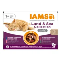 Pakiet mieszany IAMS Advanced Nutrition Adult, Land & Sea - W galarecie, 12 x 85 g