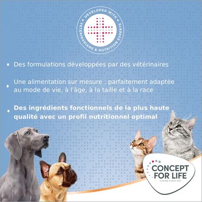 Sac Concept for Life Medium Junior 12 kg, texte visible : Special Formula X, steady growth, optimal development of bones & teeth, optimum digestion, adult weight 11–25 kg.