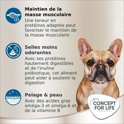 Maintien de la masse musculaire, selles moins odorantes, pelage & peau. Concept for Life. Texte sur protéines, digestion, acides gras oméga-3 et 6, vitamine B. Chien en photo.