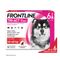Frontline® TRI-ACT Hunde XL (40 - 60 kg) 6 Pipetten x 6 ml