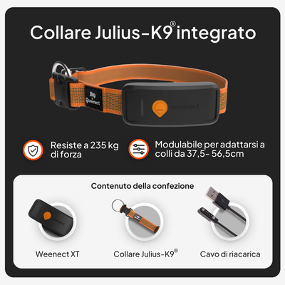 Collare Julius-K9 integrato con Weenect XT, resiste a una forza di trazione di 235 kg, regolabile per una circonferenza del collo da 37,5 a 56,5 cm. Contenuto della confezione: Weenect XT, collare Julius-K9, cavo di ricarica.