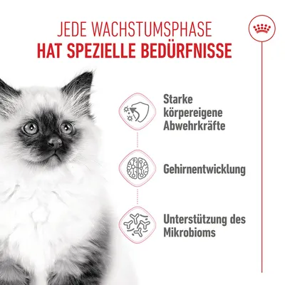 Royal Canin Kitten - 400 g