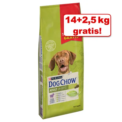 Purina Dog Chow Adult Lam 