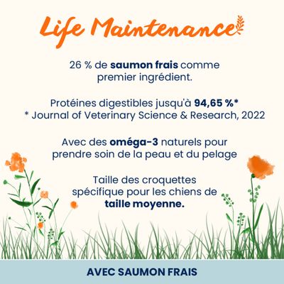 Almo Nature Adult Medium, saumon & riz