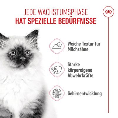 Royal Canin Kitten in Sosse - 12 x 85 g