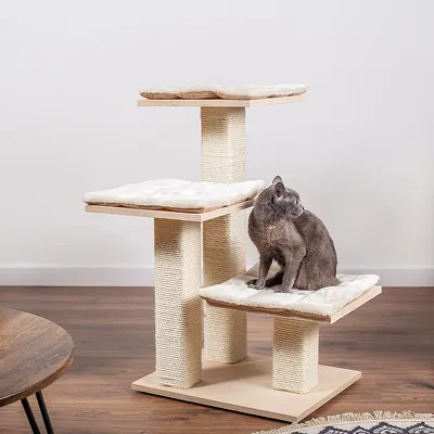 Katt på klösträd med tre nivåer, pelare av sisalrep och ljusa mjuka dynor. Träbas och plattformar synliga.