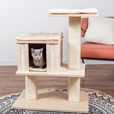 Katt på klösträd i trä och sisal med två liggplatser, en stängd låda och en öppen plattform. Beige dynor synliga på båda nivåerna.