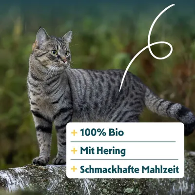 100% Bio, mit Hering, schmackhafte Mahlzeit