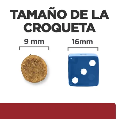 Tamaño de la croqueta: 9 mm comparado con un dado azul de 16 mm. Texto visible: 'TAMAÑO DE LA CROQUETA', '9 mm', '16 mm'.