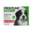Frontline® Combo Spot-on Hund XL ( ab 40 kg) 2 x 3 Pipetten x 4,02 ml