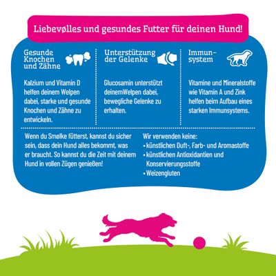 Liebevolles und gesundes Futter für deinen Hund: Unterstützung von Knochen, Gelenken und Immunsystem. Ohne künstliche Zusatzstoffe und Weizengluten.