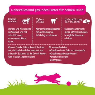 Liebevolles und gesundes Futter für deinen Hund: Unterstützung Immunsystem, Zahnpflege, Gelenke. Keine künstlichen Zusatzstoffe oder Weizengluten.