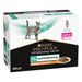 Purina Pro Plan Veterinary Diets Feline EN ST/OX Gastrointestinal Pollo 10 x 85 g