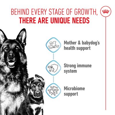 Graphic with the texts: Mother & babydog's health support, Strong immune system, Microbiome support. Heading: Behind every stage of growth, there are unique needs.