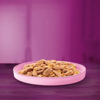 Assiette rose remplie de croquettes ou bouchées pour animaux, posée sur une table violette. Aucun texte ni marque visible.