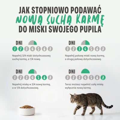 Grafika przedstawiająca stopniowe przechodzenie na nową suchą karmę: proporcje starej i nowej karmy na dni 1-7, z wizerunkiem kota i miski na karmę.