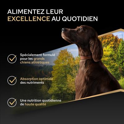 Spécialement formulé pour les grands chiens athlétiques, absorption optimale des nutriments, alimentation quotidienne de haute qualité. Texte en français avec une image de chien en arrière-plan.