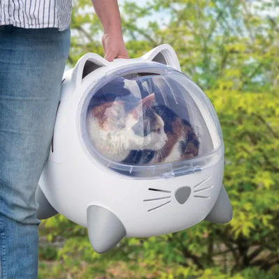 Personen bærer en hvid transportboks formet som en kat med gennemsigtigt låg, og indeni sidder en kat.