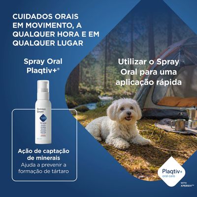 Spray Oral Plaqtiv+. A absorção de minerais ajuda a prevenir a formação de tártaro. Adequado para aplicação rápida em movimento. Plaqtiv+ cuidado oral com XPERSIV.