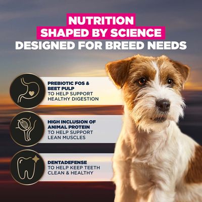 Eukanuba Adult Breed Care Specific Jack Russell Terrier