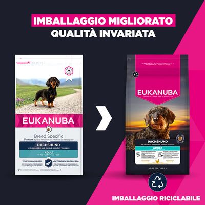 Eukanuba Dachshund Adult crocchette: nuovo design della confezione riciclabile, stessa qualità. Confronta l'immagine della vecchia e della nuova confezione con il simbolo del riciclo.