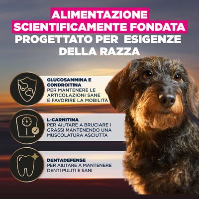 Alimentazione scientificamente studiata, sviluppata per le esigenze specifiche della razza. Contiene glucosammina e condroitina, L-carnitina e Dentadefense come indicato nell'immagine.
