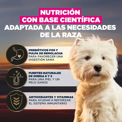 Nutrición basada en la ciencia, adaptada a la raza. Con prebióticos y pulpa de remolacha para una digestión saludable, omega 6 y 3 para la piel y el pelaje, antioxidantes y vitaminas para el sistema inmunitario.