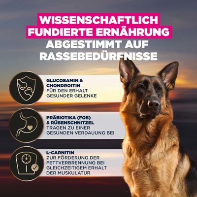 Wissenschaftlich fundierte Ernährung, abgestimmt auf Rassebedürfnisse. Glucosamin & Chondroitin für Gelenke, Präbiotika & Rübenschnitzel für Verdauung, L-Carnitin für Fettverbrennung.
