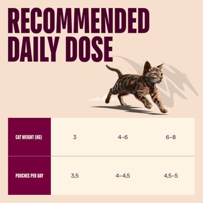 Aanbevolen dagelijkse hoeveelheid: Kattengewicht 3 kg = 3,5 zakjes, 4–6 kg = 4–4,5 zakjes, 6–8 kg = 4,5–5 zakjes per dag.