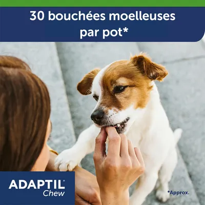 ADAPTIL Chew, 30 bouchées moelleuses par pot* indiqué sur l’image. Chien recevant une bouchée de la main d’une personne. Texte en anglais : *Approx.