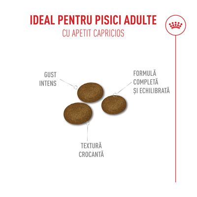 Royal Canin Fussy Exigent - 10 + 2 kg gratis!