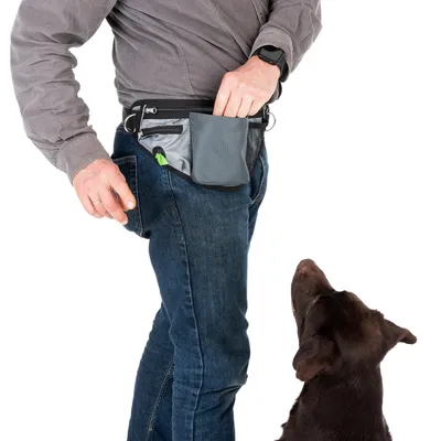 Homme portant une ceinture banane grise avec poche, main dans la poche avant, chien assis regardant vers le haut. Matière visible : tissu synthétique.