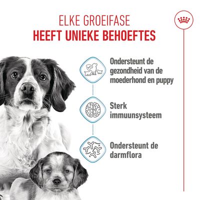 Royal Canin Medium Starter Mother & Babydog Hondenvoer