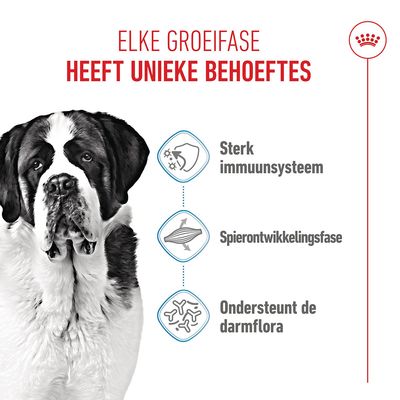 Royal Canin Giant Junior Hondenvoer