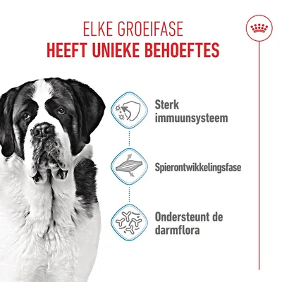 Royal Canin Giant Junior Hondenvoer - 15 kg