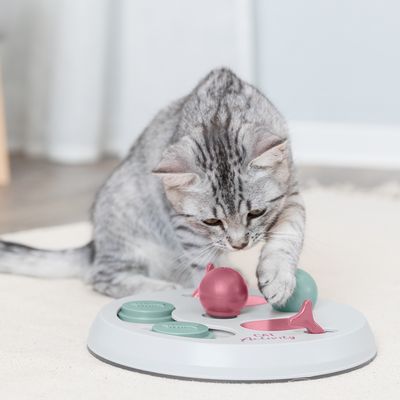 Grijze kat speelt met interactief speelgoedbord met roze en groene elementen op een witte ondergrond. Speelgoed heeft draaibare schijven en bolvormige onderdelen.